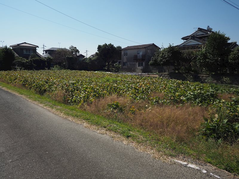 住宅用地　(みやき町西島) 現地写真
