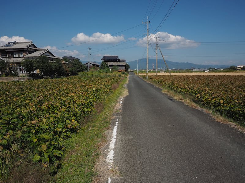 住宅用地　(みやき町西島) 現地写真（前面道路含む現地写真）