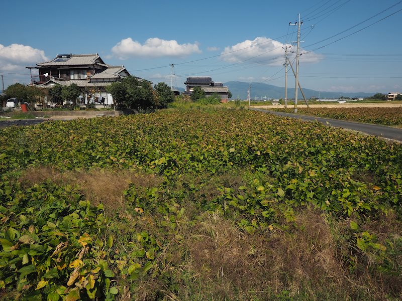 住宅用地　(みやき町西島) 現地写真（その他）