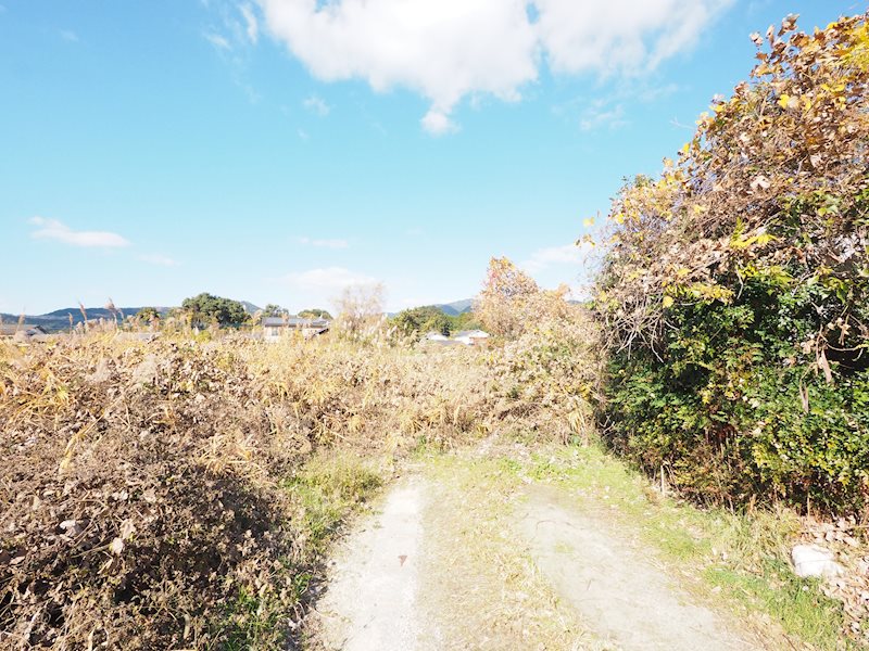 住宅用地　(みやき町簑原) 現地写真（前面道路含む現地写真）
