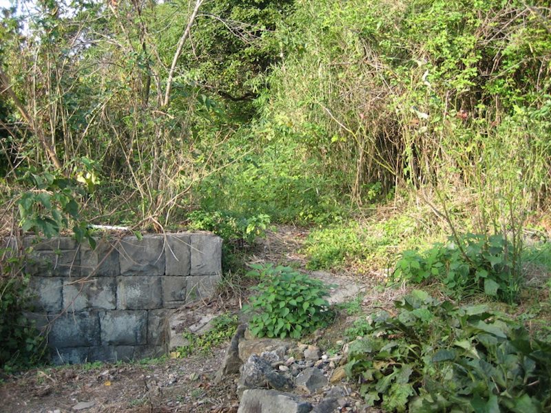 住宅用地　(大町町福母) その他
