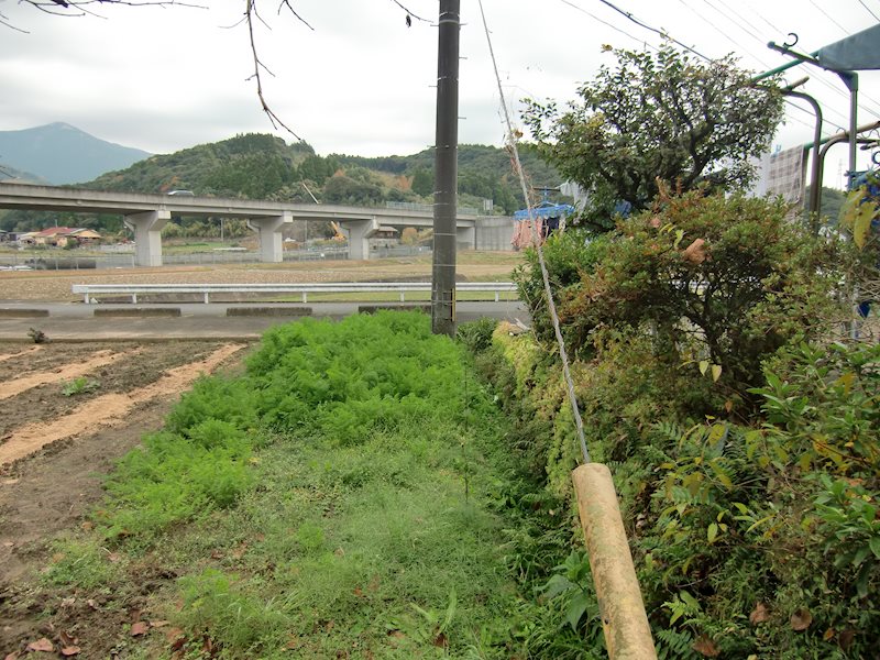 住宅用地　(北多久町小侍) その他