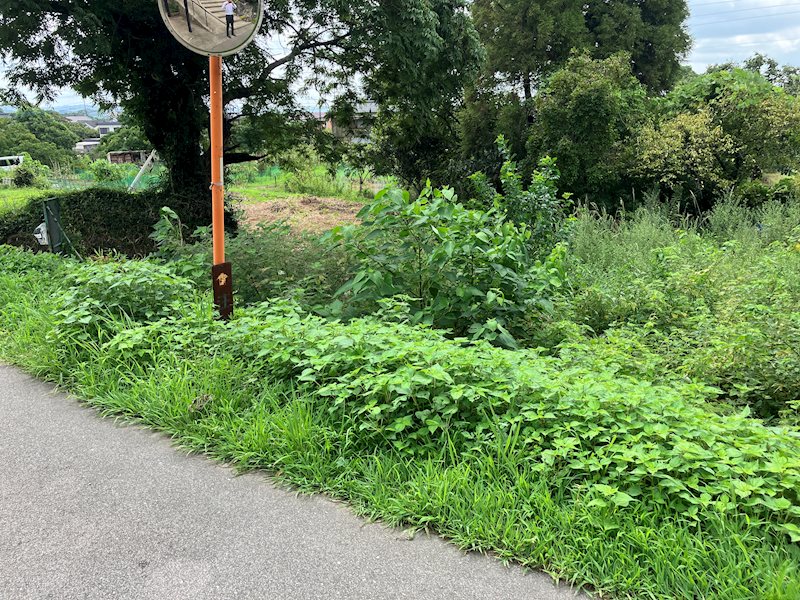 住宅用地　(みやき町原古賀） その他