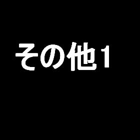 特徴・設備の反映確認 