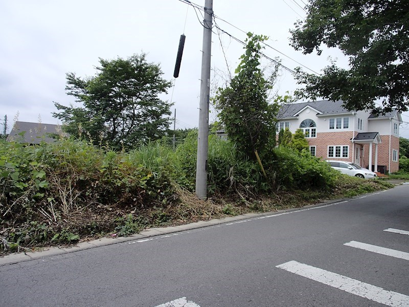 那須塩原市塩野崎新田1番25　土地 その他