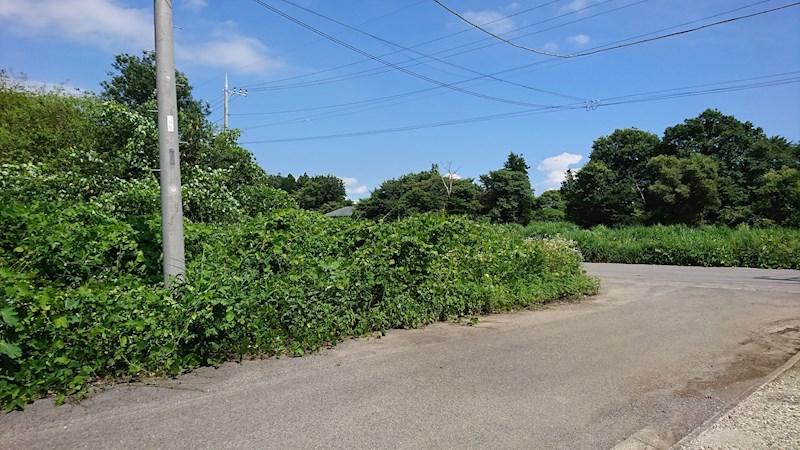 那須塩原市埼玉347番9　土地 その他