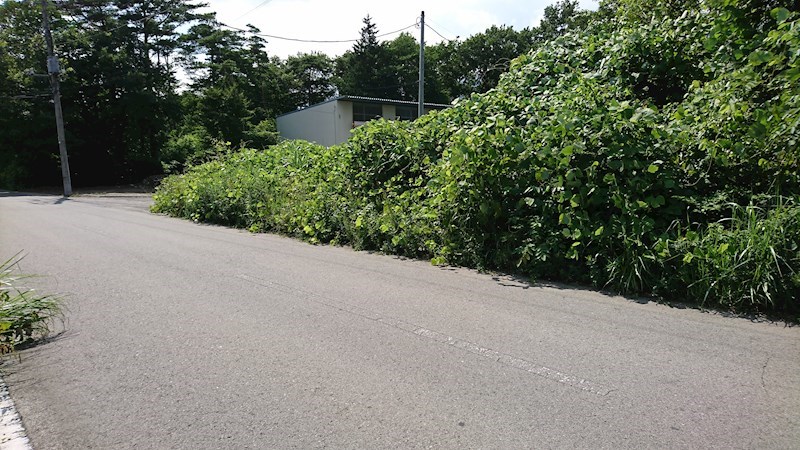 那須塩原市埼玉347番9　土地 その他