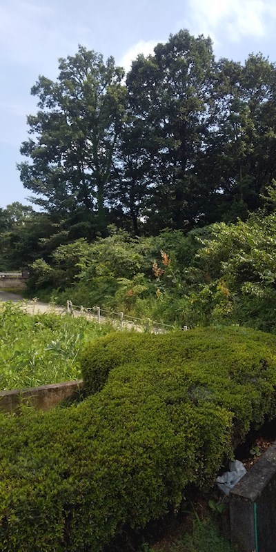 那須塩原市井口515番18　土地 その他