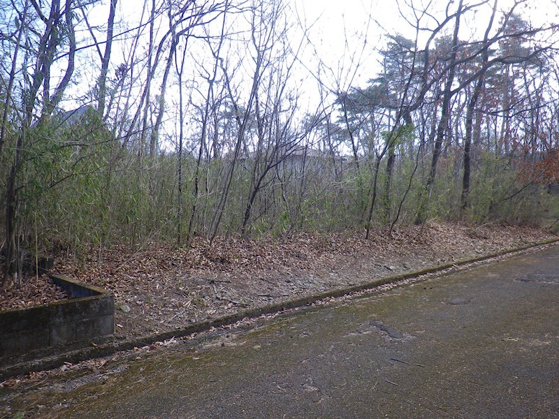 那須塩原市横林143番139　土地 現地写真