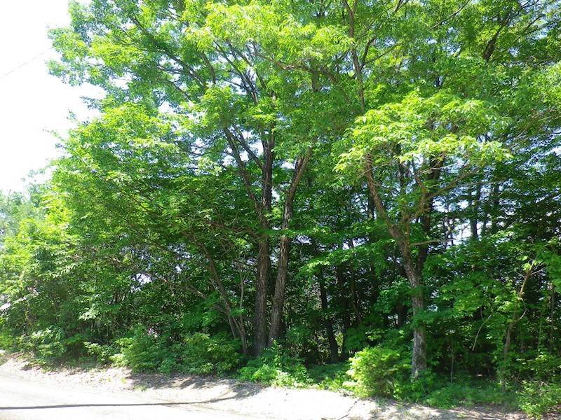 那須塩原市関谷1113番33　土地 その他