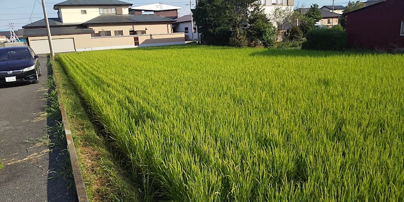 那須塩原市三島四丁目26番10　土地 その他
