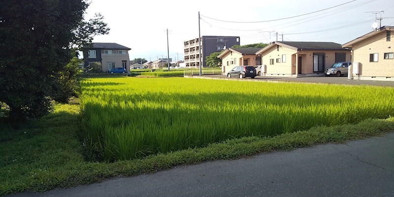 那須塩原市三島四丁目26番10　土地 その他