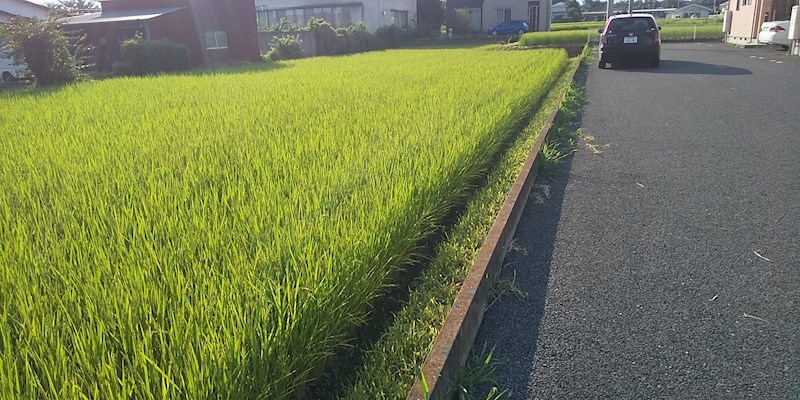 那須塩原市三島四丁目26番10　土地 その他