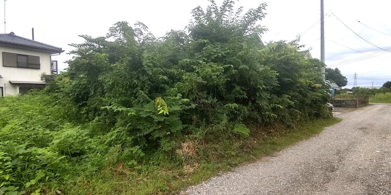 那須塩原市井口502番30 土地 現地写真