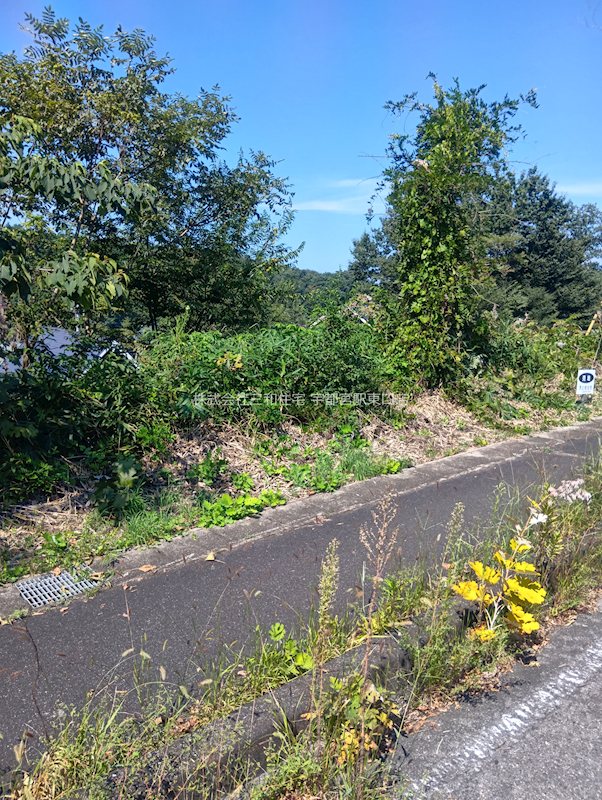 栃木県さくら市フィオーレ喜連川４丁目88番208 その他