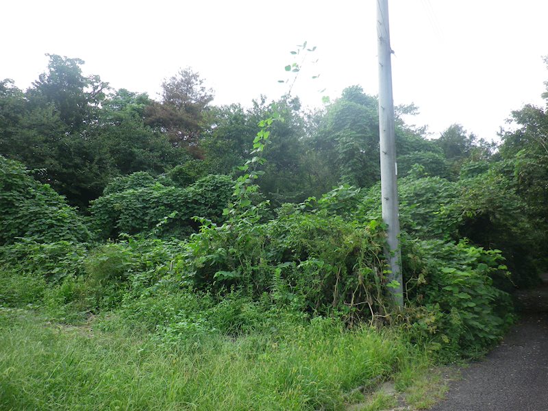 那須塩原市埼玉339番11　土地 現地写真
