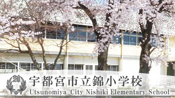 【分譲：区画①】宇都宮市今泉町293番2  他　土地 小学校
