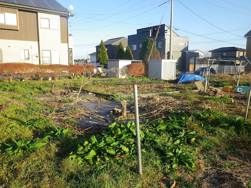 那須塩原市阿波町99番118　土地 その他