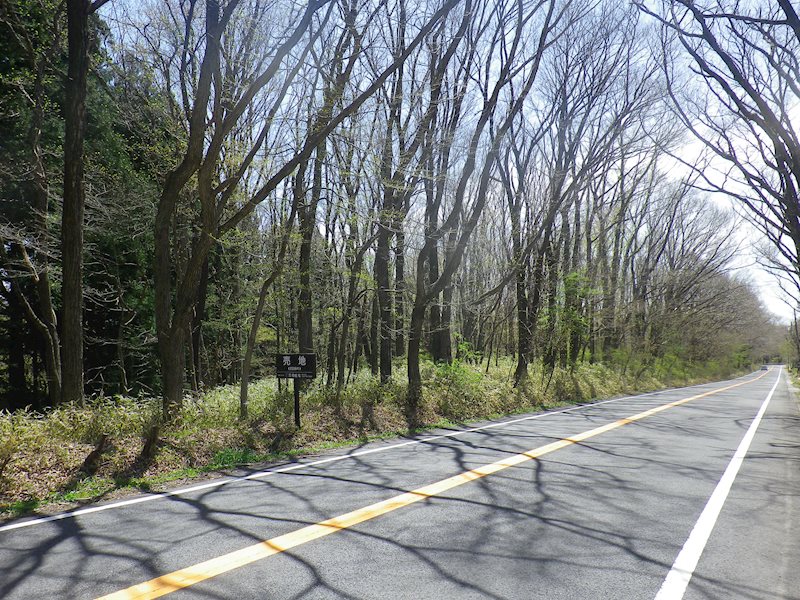 那須郡那須町大字湯本373番1他 土地 現地写真