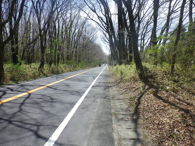 那須郡那須町大字湯本373番1他　土地 その他