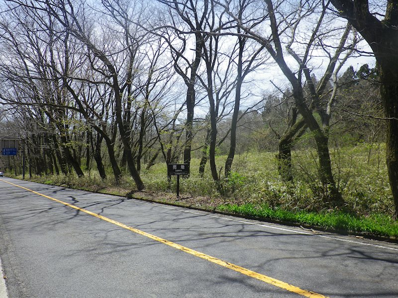 那須郡那須町大字湯本373番1他　土地 その他