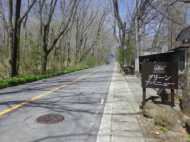 那須郡那須町大字湯本373番1他　土地 その他