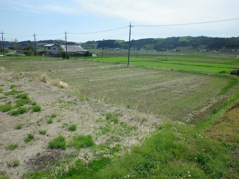 さくら市金枝字梨久保1019番地1　戸建 その他