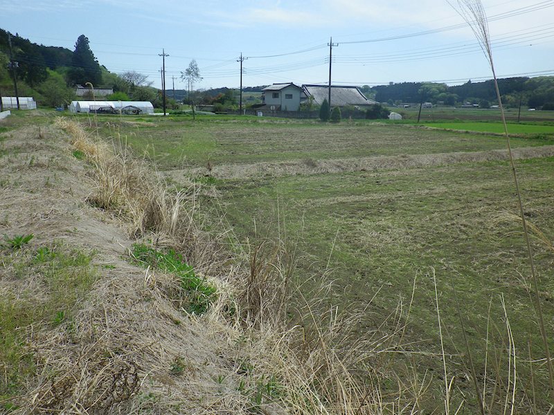 さくら市金枝字梨久保1019番地1　戸建 その他