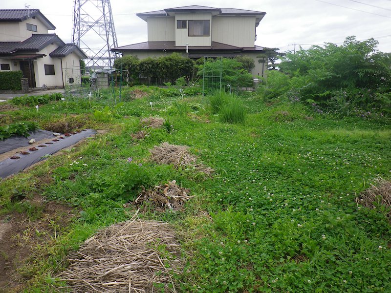 那須塩原市二つ室75番42他　土地 その他
