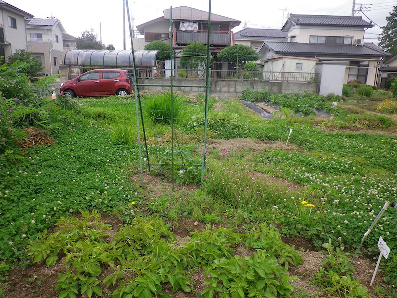 那須塩原市二つ室75番42他　土地 その他