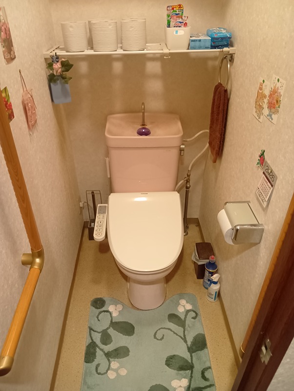 栃木県大田原市城山２丁目50番地6 内観写真（トイレ）