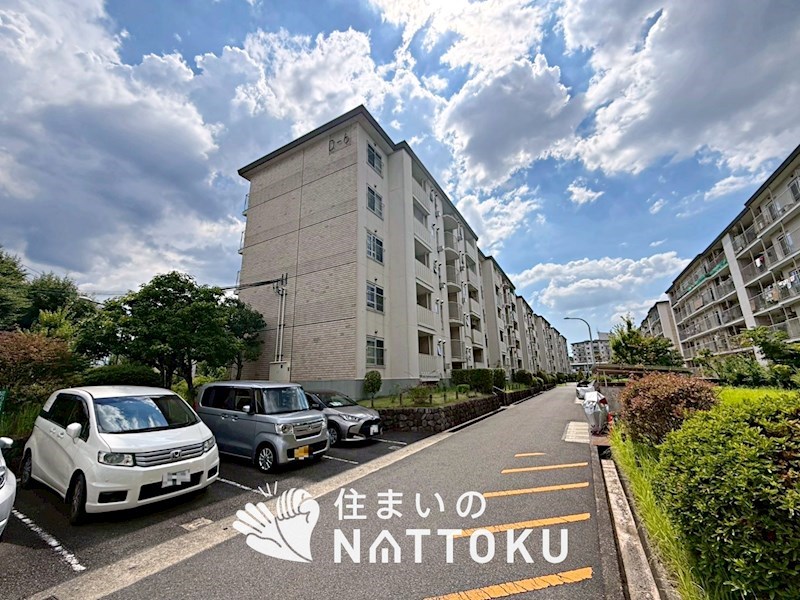 藤阪ハイツ　D6棟   共用部写真（駐車場）