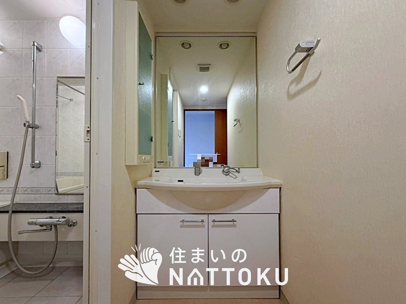 デュアル香里ケ丘八丁目 内観写真（洗面台・洗面所）