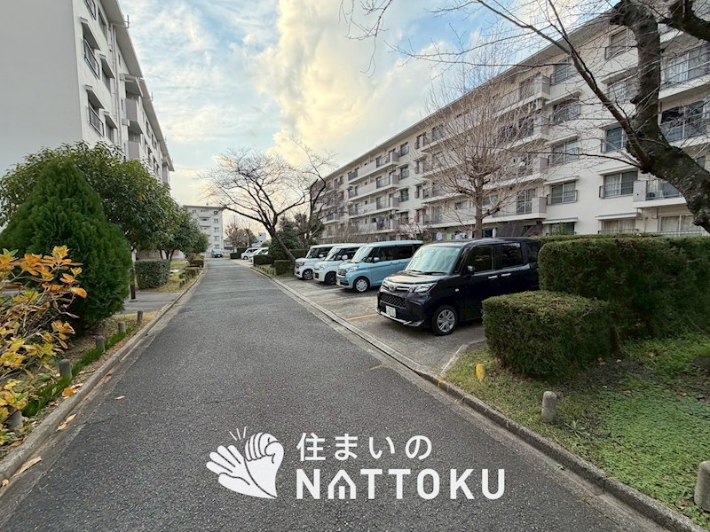 中宮第四住宅　67号棟 共用部写真（駐車場）