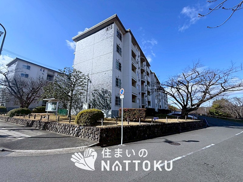 藤阪ハイツ　A1棟  その他