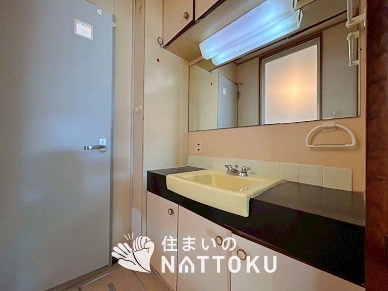藤阪ハイツ　B4棟 内観写真（洗面台・洗面所）