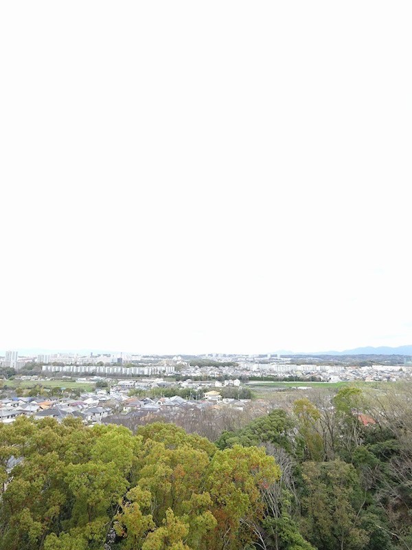 堺・泉北光明池城山公園シンシア その他