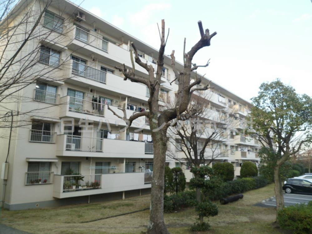 泉北桃山台第２団地29号棟 その他