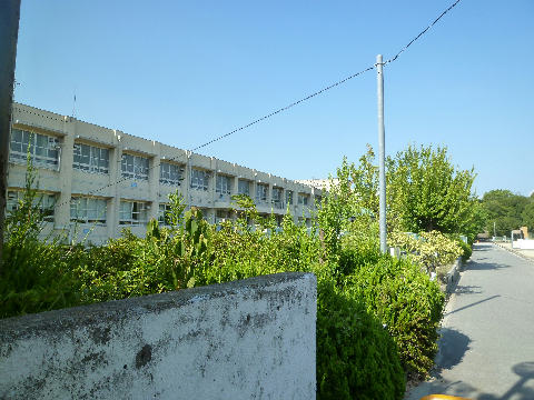 泉北桃山台第２団地29号棟 周辺画像1