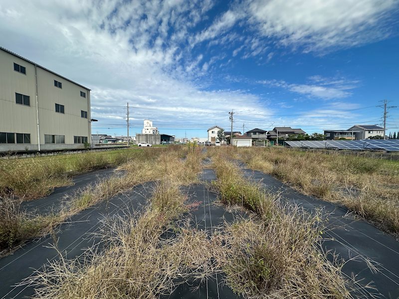 海部郡蟹江町大字蟹江新田字大海用 現地写真