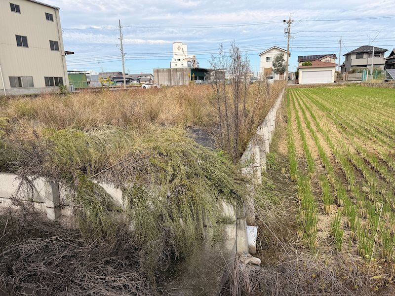 海部郡蟹江町大字蟹江新田字大海用 現地写真