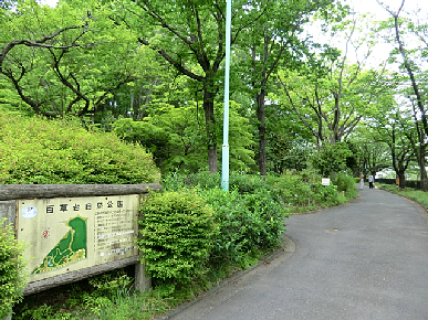 日野市百草971 周辺画像10