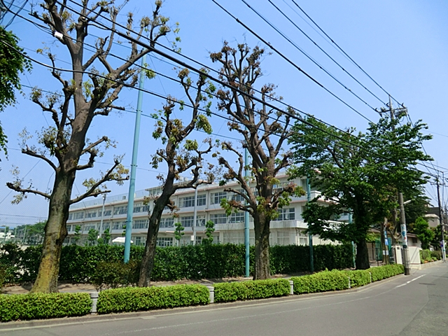 立川市柴崎町1丁目  周辺画像5