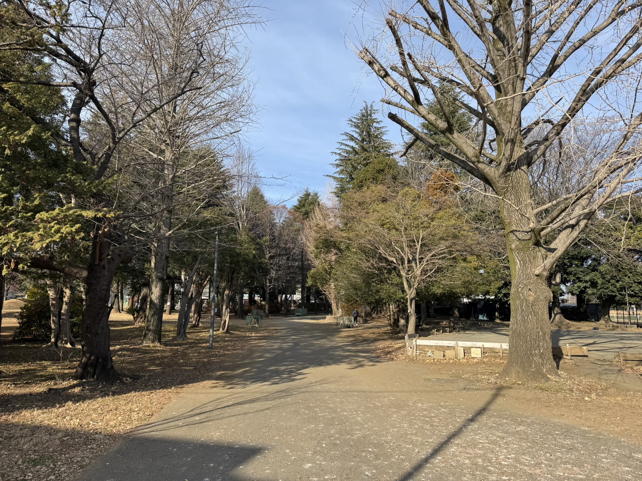 昭島市福島町　新築 全室南向きの3LDK 周辺画像6