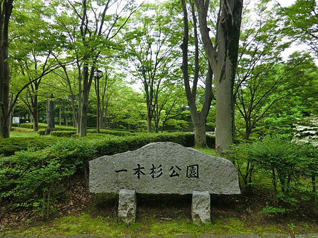 多摩市南野2丁目　D棟 周辺画像8