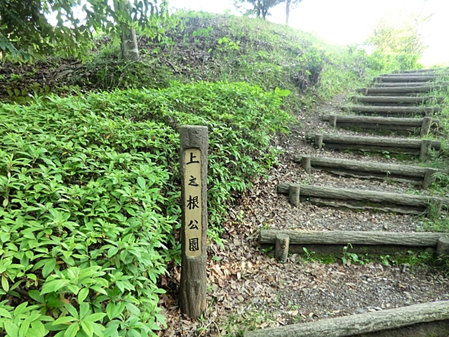 コンセボール21多摩 周辺画像8