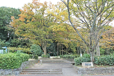 八王子市鹿島1期　1号棟 周辺画像7