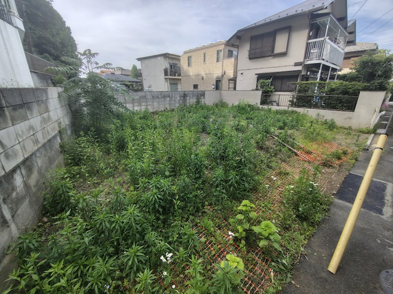 日野市新町 その他
