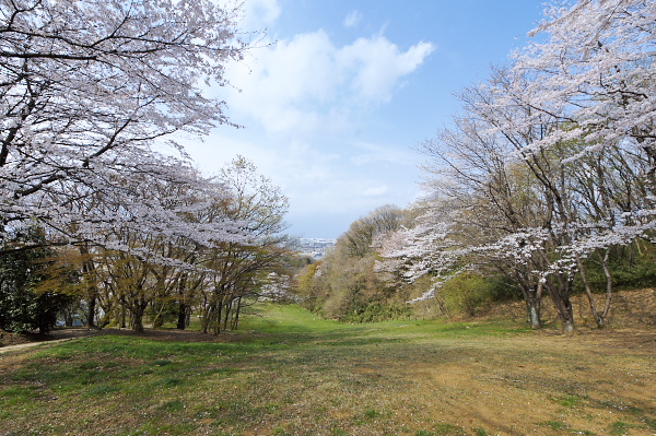 信頼に応える高性能住宅　八王子市長沼　新築戸建 周辺画像6
