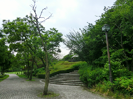多摩市南野 周辺画像8